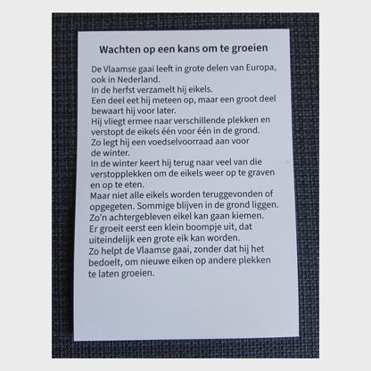 Set van 40 geïllustreerde wachtkamerkaarten met korte natuurverhalen over wachten.
Geschikt voor inrichting wachtkamer of wachtruimte.